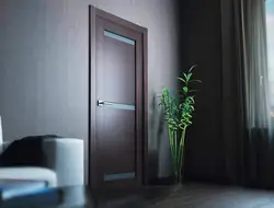Gray Brown Doors In The Interior Of The Apartment