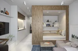 Design Of A One-Room Apartment With A Balcony Of 30 Square Meters