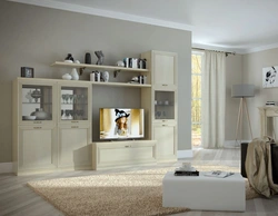 Adagio Living Room Photo