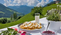 Photo of Austrian cuisine