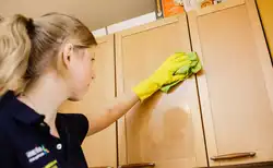 Kitchen cleaning photo