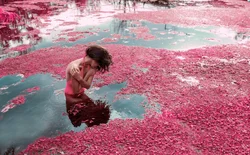 Photo of sakura bath