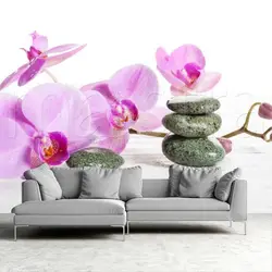 Орхидея гостиная фото