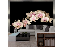Orchid living room photo