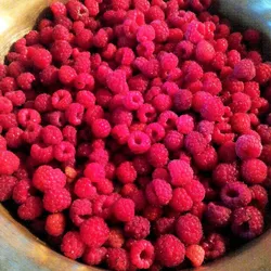 Kitchen raspberry photo
