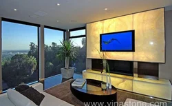 Living room onyx photo