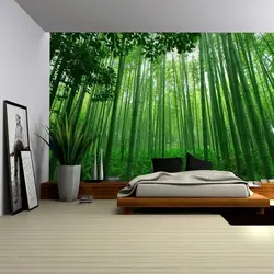 Bambuk yataq otağı fotoşəkili