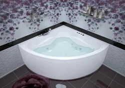 Bathtubs From The Manufacturer Photo