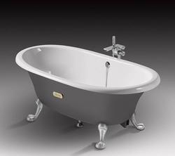 Bathtubs from the manufacturer photo