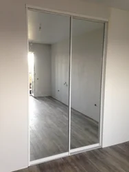 Двери гардеробной фото зеркало