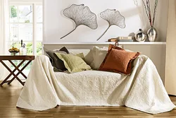 Blankets for living room photo