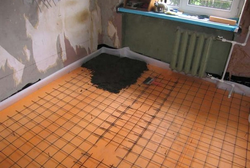 Screed in the kitchen photo