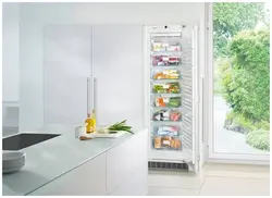 Freezer in the kitchen photo