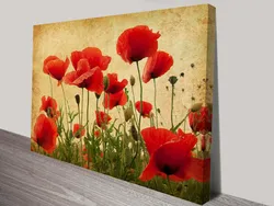 Photo Of Poppies For The Kitchen