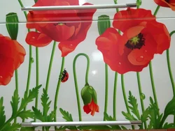 Photo of poppies for the kitchen