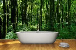 Bath in the forest photo