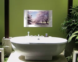 TV for bathroom photo