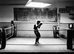 Ваннадағы Бокс Фото