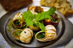 French cuisine photo