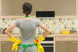 Kitchen cleaning photo