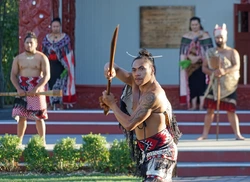 Maori Oshxonasi Fotosurati