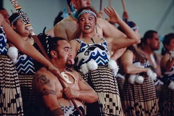 Maori Oshxonasi Fotosurati