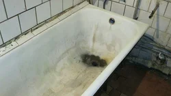 Photo Of A Rusty Bathtub