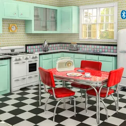 Kitchen in pin up style