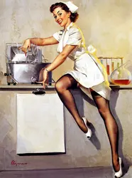 Kitchen in pin up style