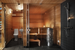 Uyda saunali vannaning dizayni