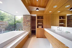 Design of a bathtub with a sauna in the house