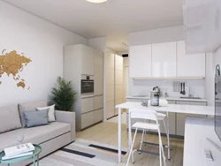 Design studio 20 sq m with kitchen peak