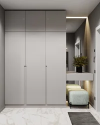 Wardrobe design for the hallway with a 2 meter mirror