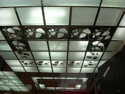 Потолки Армстронг Фото В Квартире