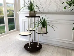 Furniture for flowers in the apartment photo