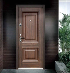 Фото деревянные входные двери в квартиру