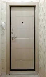 Entrance door to the apartment with extensions photo