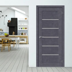 Graphite Doors In The Interior Of The Apartment