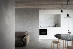 Loft Concrete In The Kitchen Interior