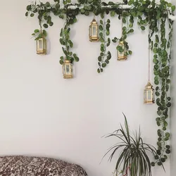Фотографии цветов на стене в квартире