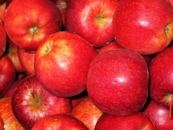 Кухня яблоки фото