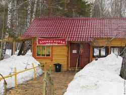 Forest Kitchen Photo