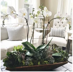 Orchid Living Room Photo