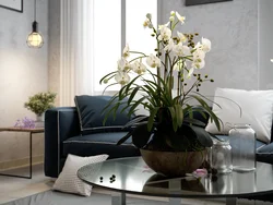 Orchid Living Room Photo