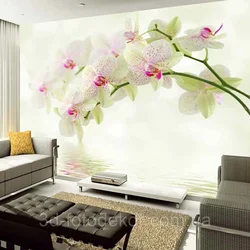 Акси хонаи истиқоматии орхидея