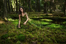 Bath in the forest photo