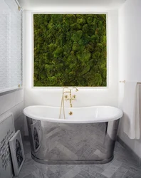Greenery in the bathroom photo
