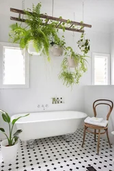 Greenery In The Bathroom Photo