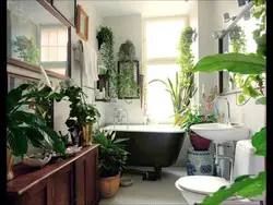 Greenery In The Bathroom Photo