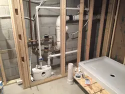 Bath in basement photo